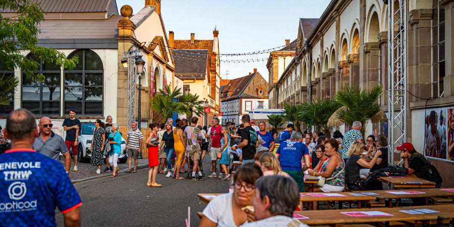 Appel à candidature : Festival du Houblon