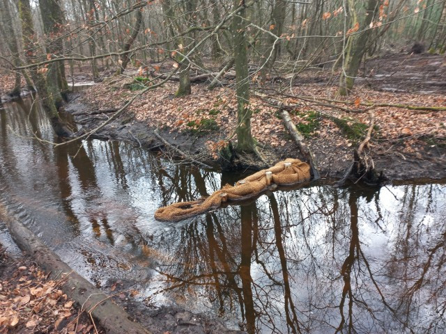 La renaturation d'un cours d'eau : le Brumbach